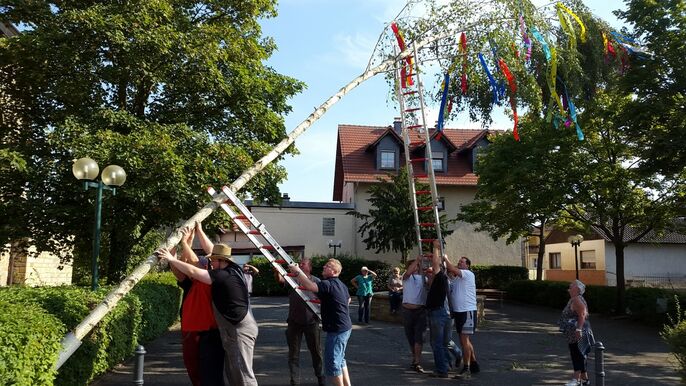 Kerbebaum wird aufgestellt